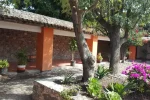 Agora (2)