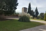 Agora (3)