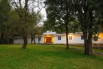 DiegoMorelos (19)