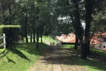 DiegoMorelos (34)