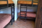 FinalPuebla (2)