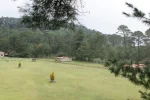 FinalPuebla (8)