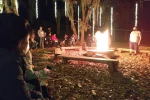 Foresta (12)