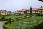 Foresta (17)