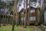 Huasca (5)