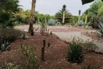 Teotihuacan (1)