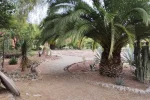 Teotihuacan (2)